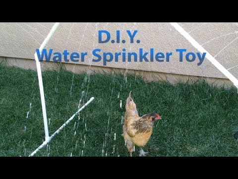 Build a Water Sprinkler Toy