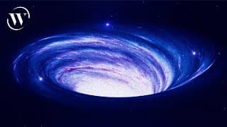 Solving Stephen Hawking’s famous paradox