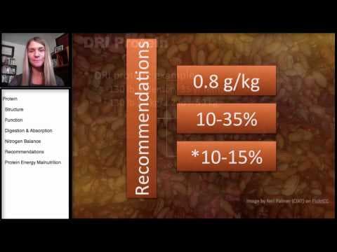 Protein: Dietary Recommendations