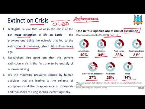 What is Extinction Crisis ? || Extinction Crisis అంటే ఏమిటి?