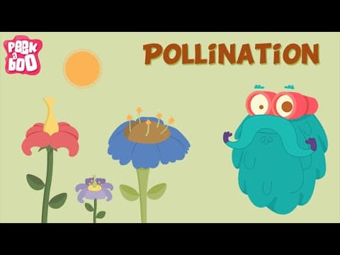 Parts of a flower and Pollination | The Dr. Binocs Show | Learn Videos For Kids - YouTube