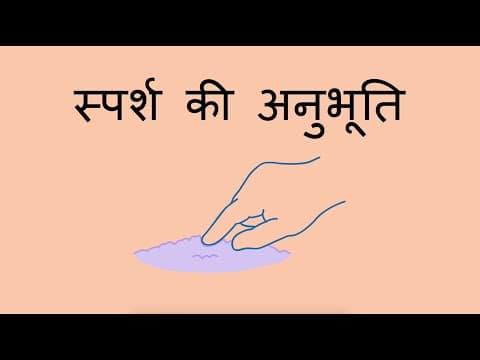 स्पर्श की अनुभूति - Sense of Touch (Hindi)