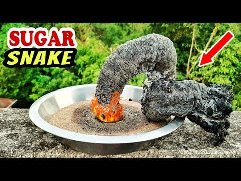 Amazing Science Experiment With Sugar || Black Fire Snake Experiment