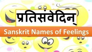 Sanskrit Names of Feelings प्रतिसंवेदिन्