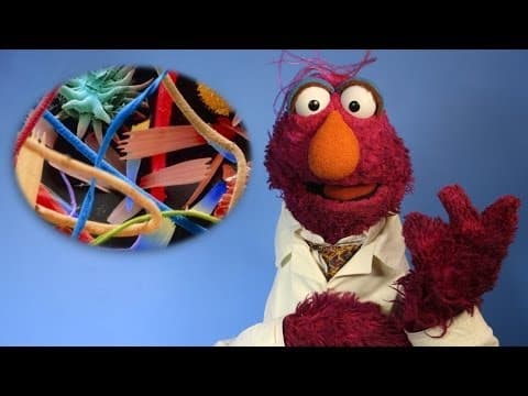 5 Hidden Worlds Revealed Under a Microscope (with Telly!)