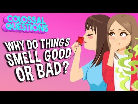 Why Do Some Things Smell Bad? | COLOSSAL QUESTIONS