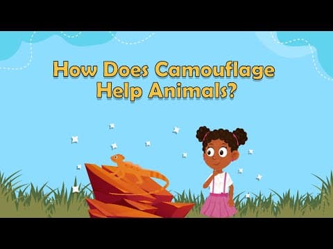 How Does Camouflage Help Animals? - Animal Facts - What is Camouflage - Facts for Kids