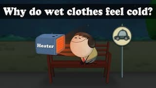 Why do wet clothes feel cold? aumsum kids science education children