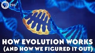 How Evolution Works |And How We Figured It Out