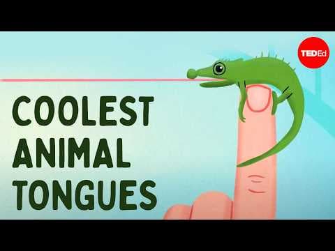 Wind Horses Pantaos ethereal equine puppets