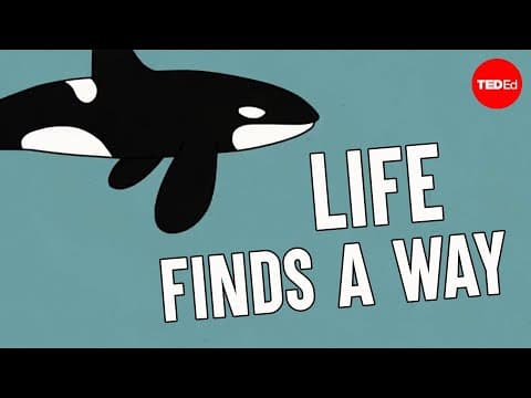 How you survive the coldest place on Earth - Nadia Frontier - YouTube