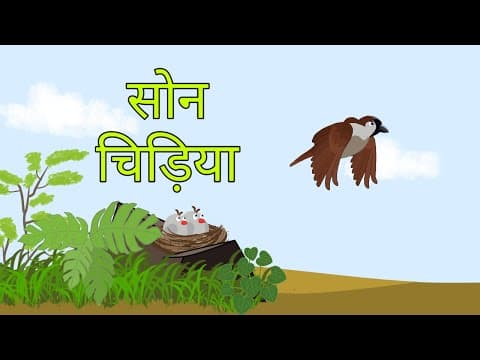 Son chiriya | cartoon | chidiya ki kahani | chidiya ka dana | bhukhi chidiya | chidiya wala cartoon
