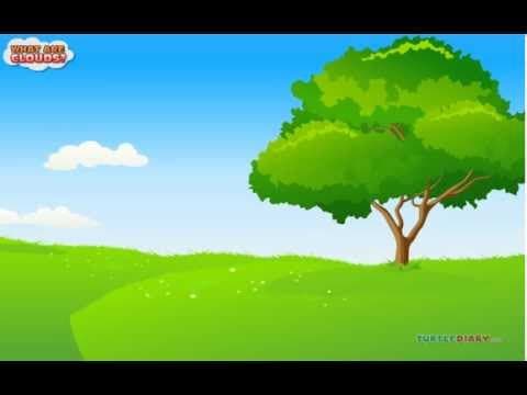 6 Types of Clouds and How They're Formed! Science for Kids