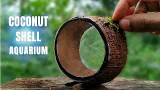 Simple Craft Making With Coconut Shell| How To Make An AQUARIUM with Coconut Shell|Mr Techoo