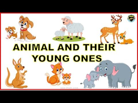 Animals and their Young Ones - Animals & their Babies