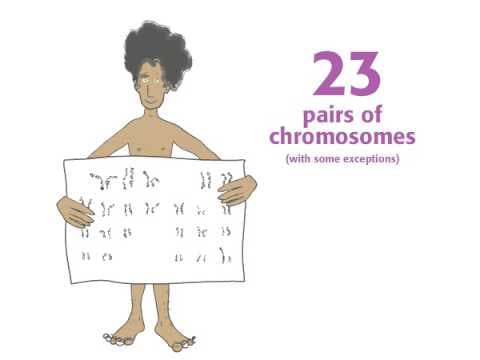 Genetics : What are Genes?