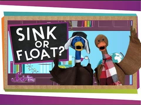 Sink or float?
