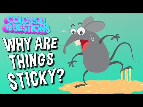Why Are Things Sticky? | COLOSSAL QUESTIONS