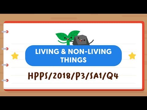 PSLE SCIENCE MADE SIMPLE EP133 | Living & Non-Living Things | What Does The Change Show?