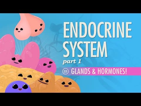 Endocrine System, Part 1 - Glands & Hormones: Crash Course Anatomy & Physiology #23 - YouTube