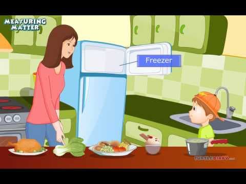 How To Measure & What Tools We Use To Measure Science for Kids