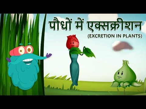 एक्सक्रीशन इन प्लांट्स | पौधों में उत्सर्जन | Excretion In Plants In Hindi | Dr.Binocs Show