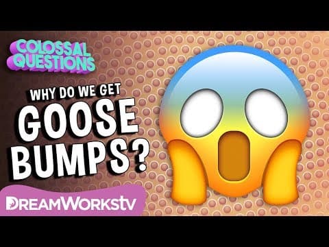 Why Do We Get Goose Bumps? | COLOSSAL QUESTIONS | Learn #withme