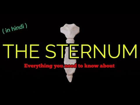 STERNUM Anatomy/sternum Ossification/muscle attachment/clinical anatomy, everything you need to know
