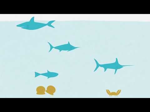 Food and drink to avoid during pregnancy