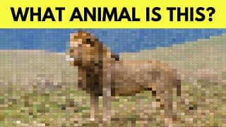 Can You Guess The Animal From The Pixelated/Matrix Images? + Superhuman Level | Fun Eye Puzzle!