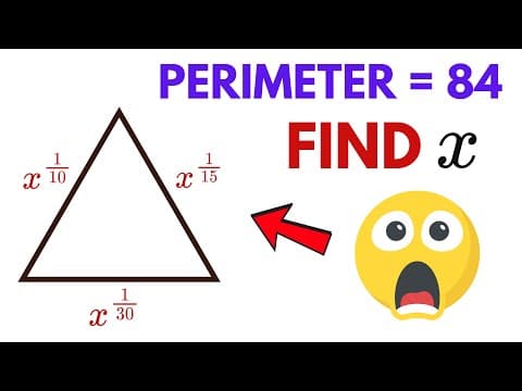 Entire Video Will Blow Your Mind!