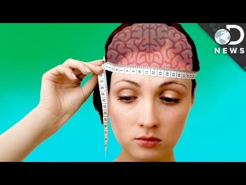 Does The Size Of Your Brain Matter?