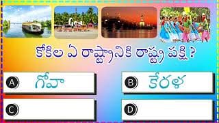 Top10 interesting Questions ln Telugu। Unknown Facts