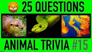 Animals Knowledge Trivia Quiz
