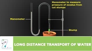LONG DISTANCE TRANSPORT OF WATER PART 03