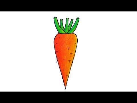 Easy Carrot drawing tutorial, How to draw a Carrot step by step for beginners