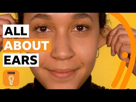 Why your ears are unique (and amazing!) | BBC Ideas