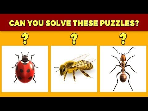 Not Everyone Can Solve These Puzzles!