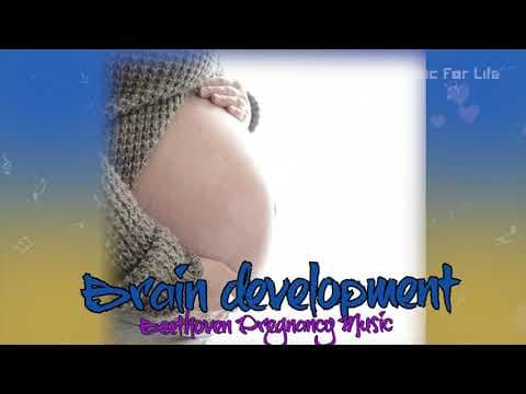 Relaxing Soothing Music For Pregnant Women And Baby | Music for Life #3