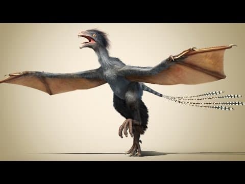 A new dinosaur  Flying without feathers
