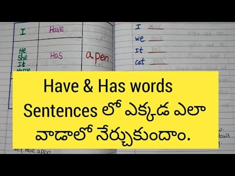 How to use have & has - use of have & has for kids in english grammar