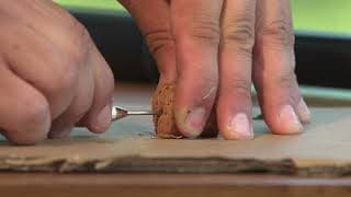 Kid Experiments | Bottle Rocket