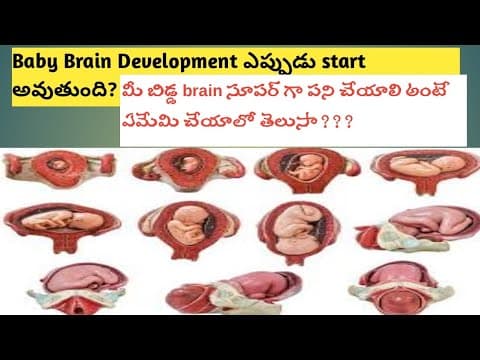 when baby brain development starts? pregnancy tips in telugu...