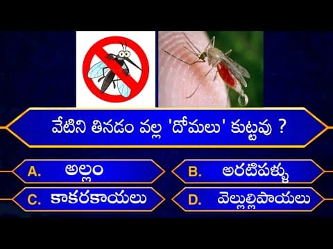 Interesting questions in telugu - episode-31 - unknown facts - genera knowledge - telugu quiz