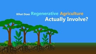 What is Regenerative Agriculture