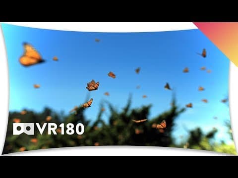 Mexico’s Monarch Butterfly Migration