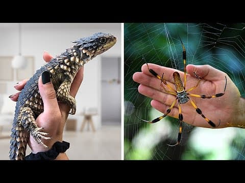 11 Craziest Pets People Actually Own