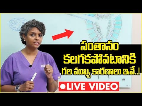 సంతానం ప్రయత్నించేముందు | Reason For Not Getting Pregnant Telugu