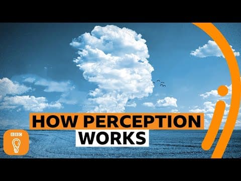 Why we see faces in clouds | BBC Ideas