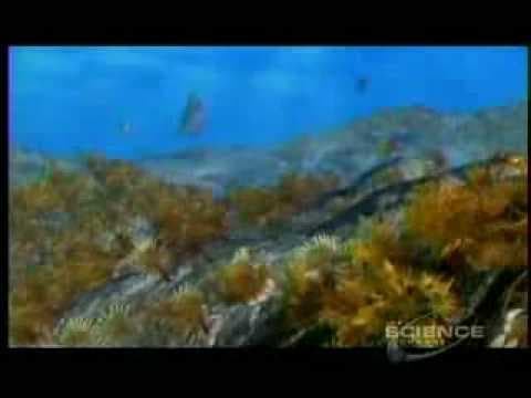 Miracle Planet Episode 2 Part 5